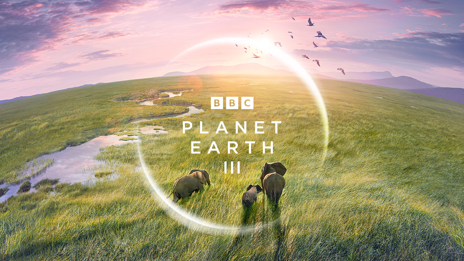 BBC Planet Earth III Live in Concert