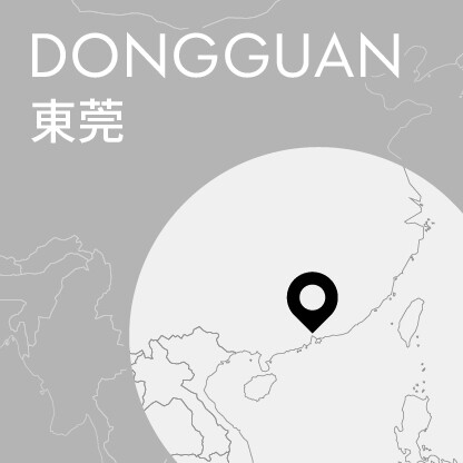 Dongguan Concert — New Year Celebration: Amour & Adieu